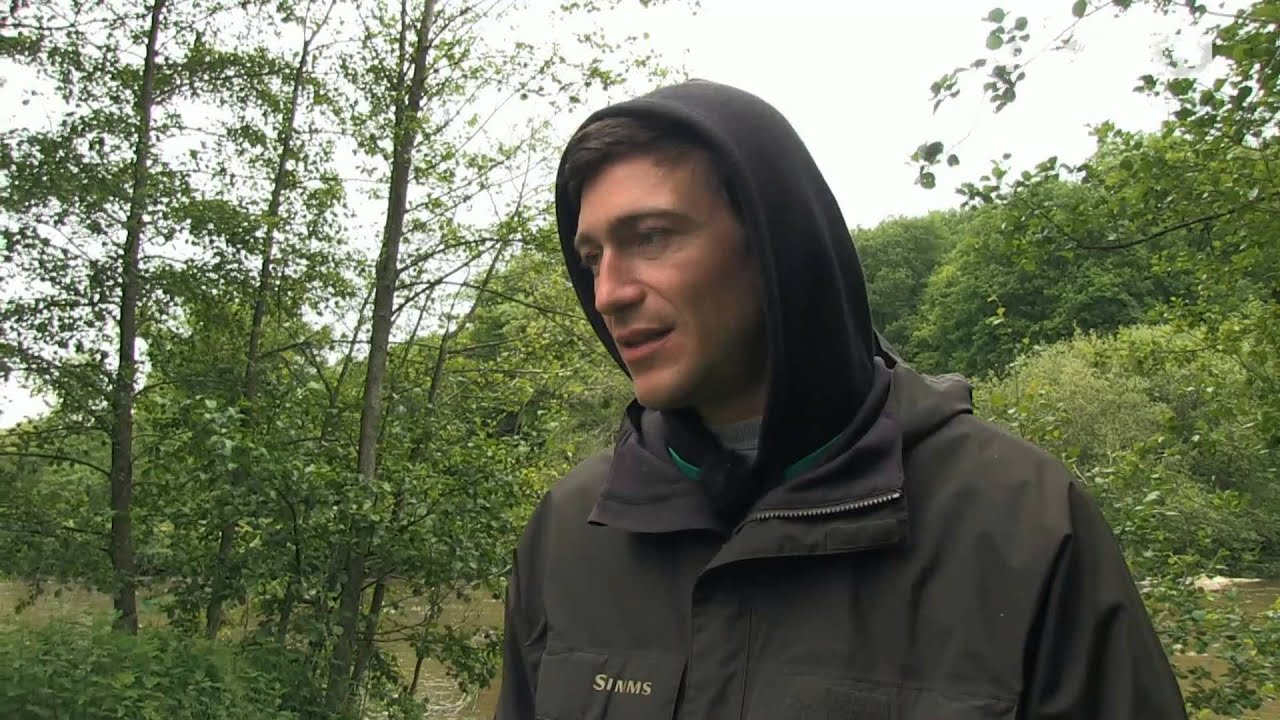 Pêche du silure sur la Sèvre Nantaise