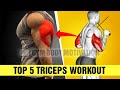Top 5 Triceps Workout For Bigger Arms