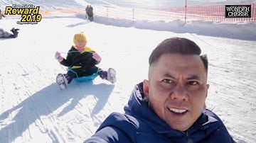 Tokyo Bon (MakuDonarudo) - Sapporo Japan Trip Wondercheese