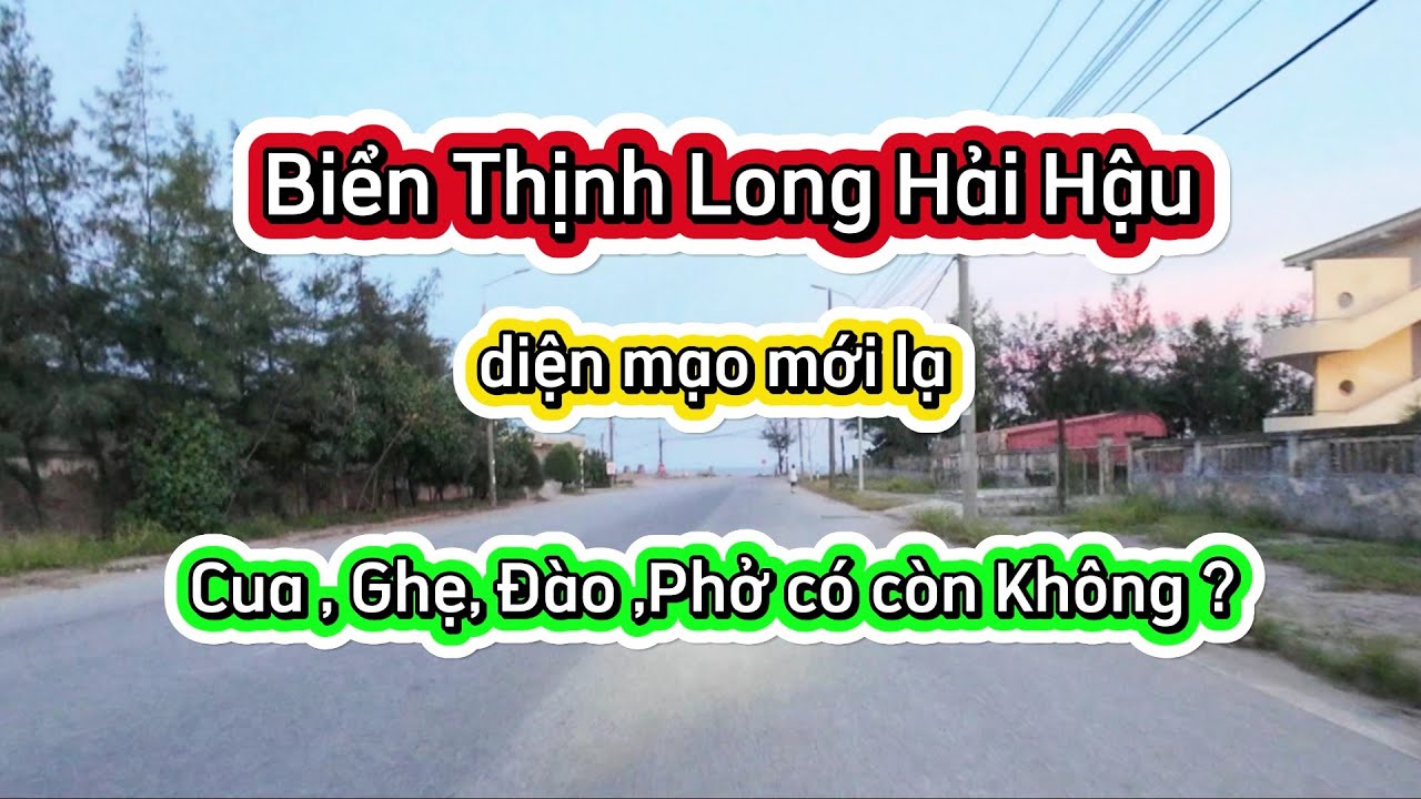 Biển Thịnh Long Hải Hậu diện mạo mới / Cua ,Ghẹ , Đào , Phở có còn nhiều Không ?