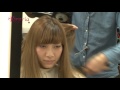 Hairs care presto