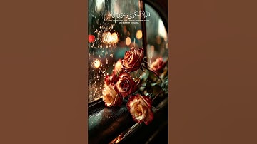 ارح سمعك و قلبك 🤍 قرآن كريم 🤍 اكتب شيئا تؤجر عليه 🤍