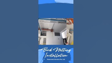 Bird Netting Installation