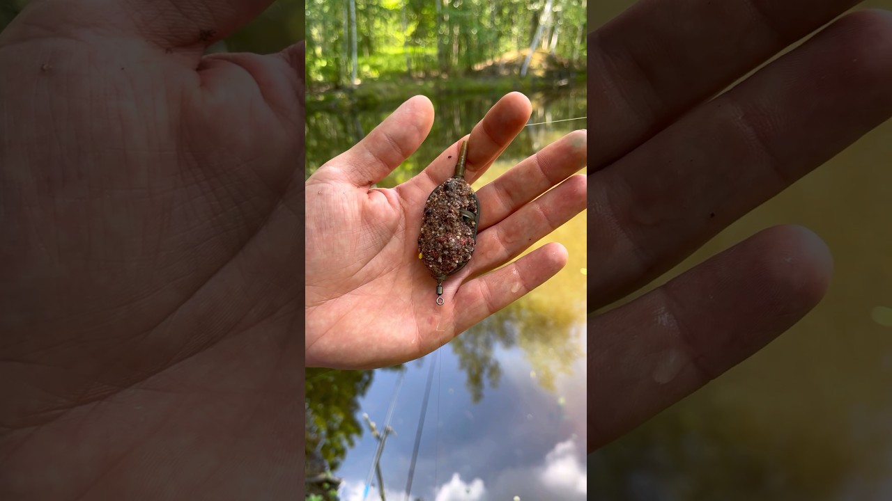 Флэт фидер это вам не донка 