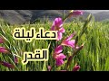 دعاء ليلة القدر بدون حقوق الطبع والنشر