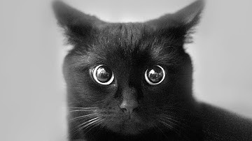 The Origin Of The Most Popular Superstitions