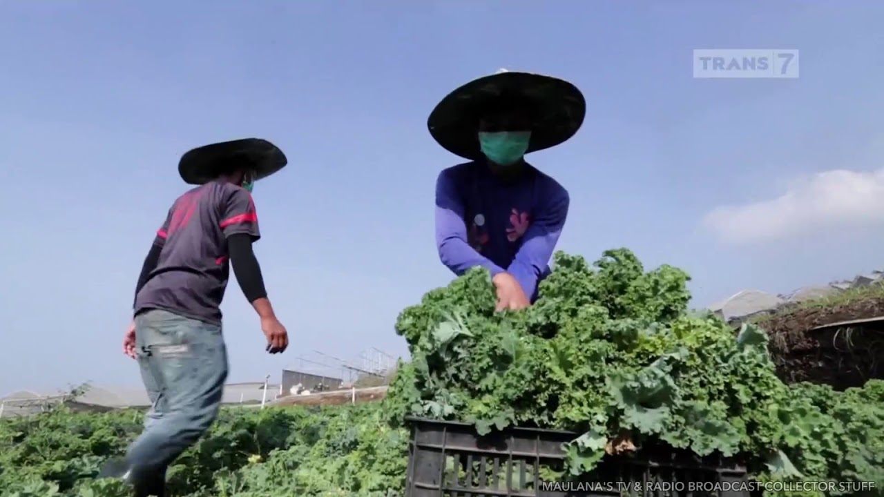 Trans7 - Sign On 2018 