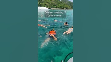 Thumbnail of First time snorkeling in Thailand 🤿🤩 #travel #travelshorts #wanderlust