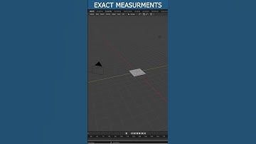 Blender Exacte meettips