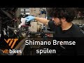 Shimano Bremse entlüften Teil 1 - Spülen - vit:bikesTV 193