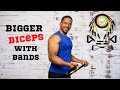 Bicep and Forearms Workout using RESISTANCE BANDS