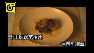 好姻緣(女)-KTV0681