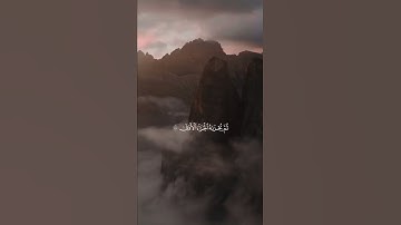 "وأن ليس للانسان إلا ما سعى" تلاوه تقشعر لها الابدان للقارئ الشيخ ياسر الدوسري 💙