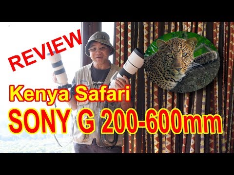 รีวิวเลนส์เทเลซูม Sony G 200 600mm F5.6-6.3 OSS