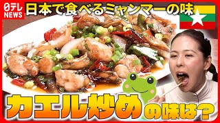 【街の人気店】ミャンマー＆スリランカ料理！日本で食べられる本場の味『every.特集』