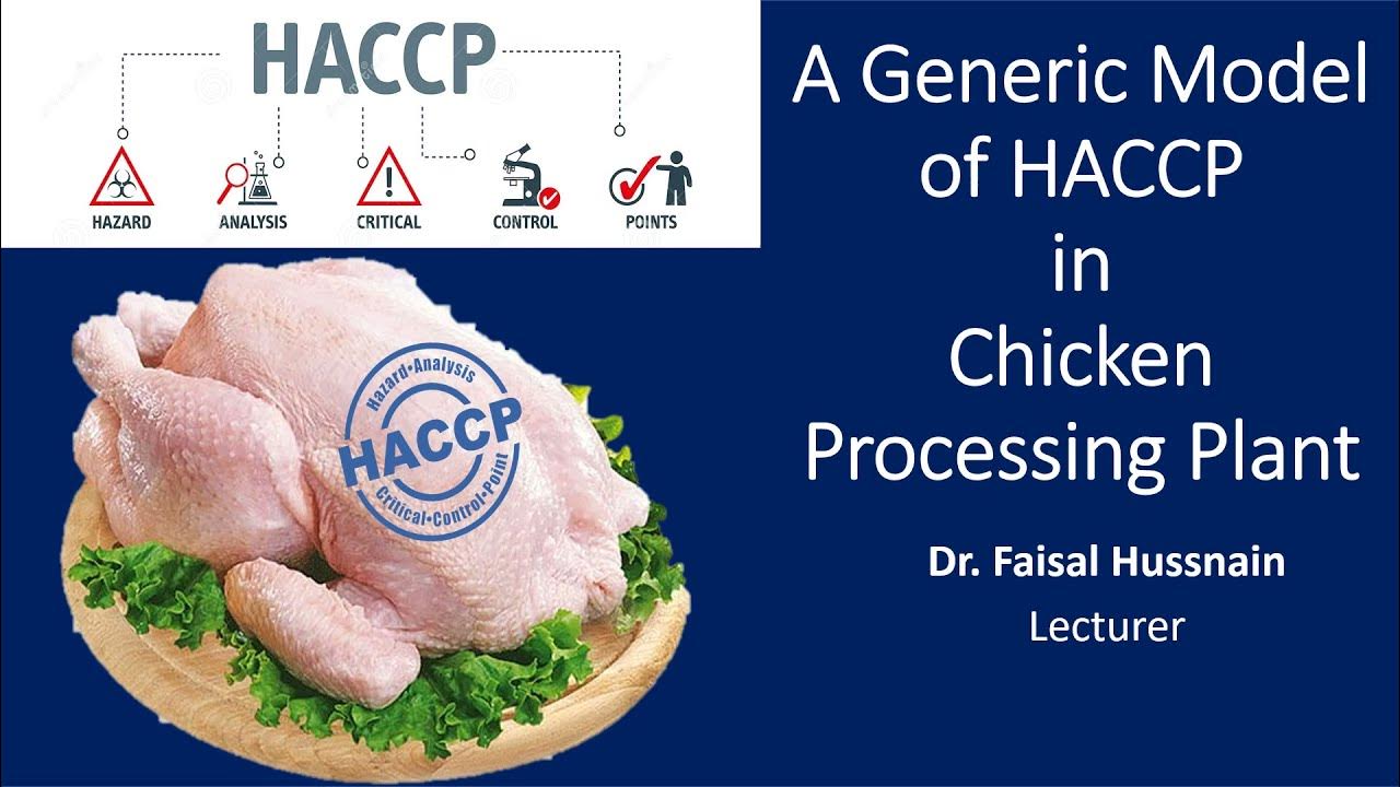 Implementing HACCP in a Chicken Processing Plant YouTube