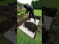 Never Throw Away Eggshells Grow Amazing Tomatoes