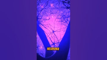 Mind-blowing Fact: The Human Brain Is More Complex Than the Entire Universe #didyouknow #documentary