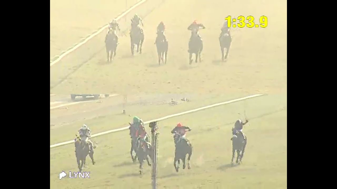 Delhi Race No 1 The Charminar Plate/ win - EQUAL LUXURY/ Jockey - Kundan Paswan/ 