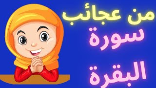 من يحافظ على قراءة سورة البقرة لمده طويلة متواصلة هذه ما يحصل له من عجائب سورة البقرة المباركة