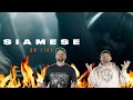 SIAMESE &quot;On Fire&quot; | Aussie Metal Heads Reaction