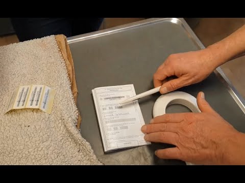 Video: Hoe Een Veterinair Paspoort In Te Vullen?