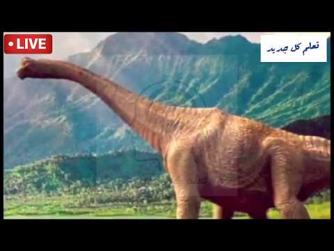 اضخم ديناصور في العالم  تم اكتشافة ( الارجنتينوصور)