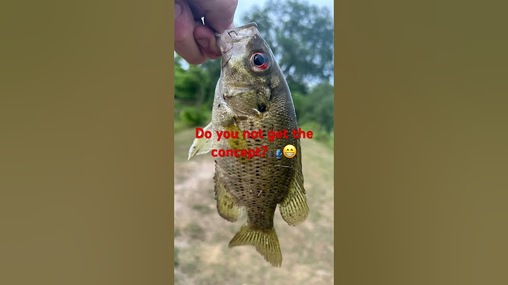 Some days are just better than others.😂😂🎣