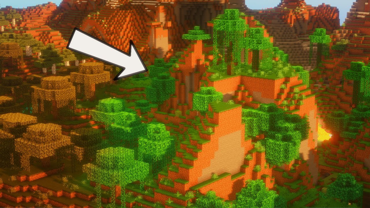 Minecraft 1.17 Survival/Speedrun seed w/ THE RAREST BIOME EVER AT SPAWN