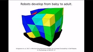 The Evolution of Development in Soft Robots