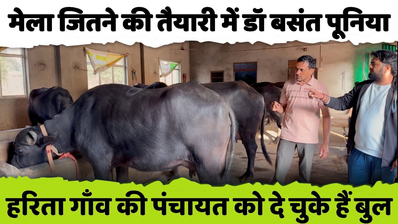 बनाया खुद का Top Class डेरी फार्म | डॉ. बसंत पूनिया पिछले 13 साल से कर रहे हैं ब्रीडिंग पर काम