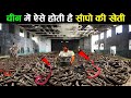 ऐसे साँपों को खुलेआम पैदा करके मारा जा रहा है snake farming in china