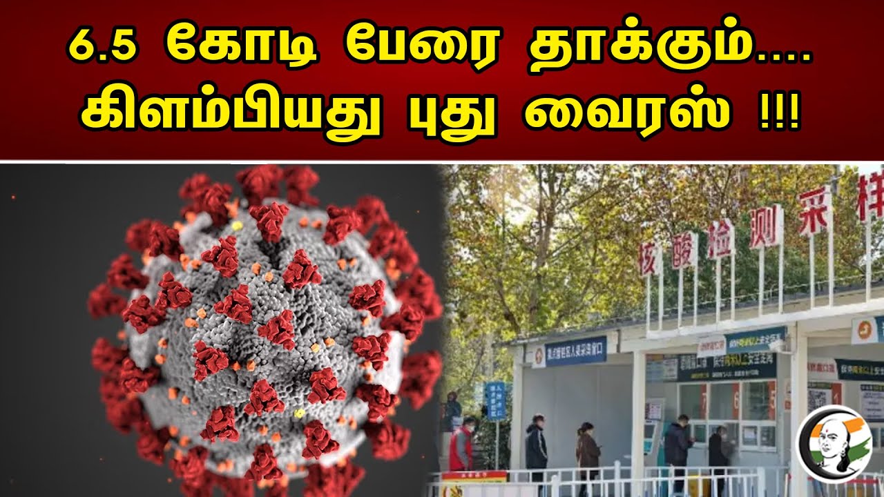 6.5 கோடி பேரை தாக்கும் | China | Corona Viruses | New Viruses | Chanakyaa News - 27.05.23