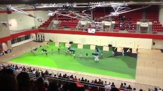 Lake view Centennial Varsity Winterguard