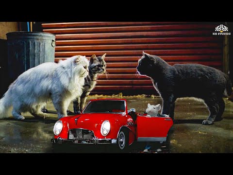 क तन शर मन क ब त ह एक च ह कभ क स ब ल ल क म ल क नह बन सकत Stuart Little 1999 Hindi Dub