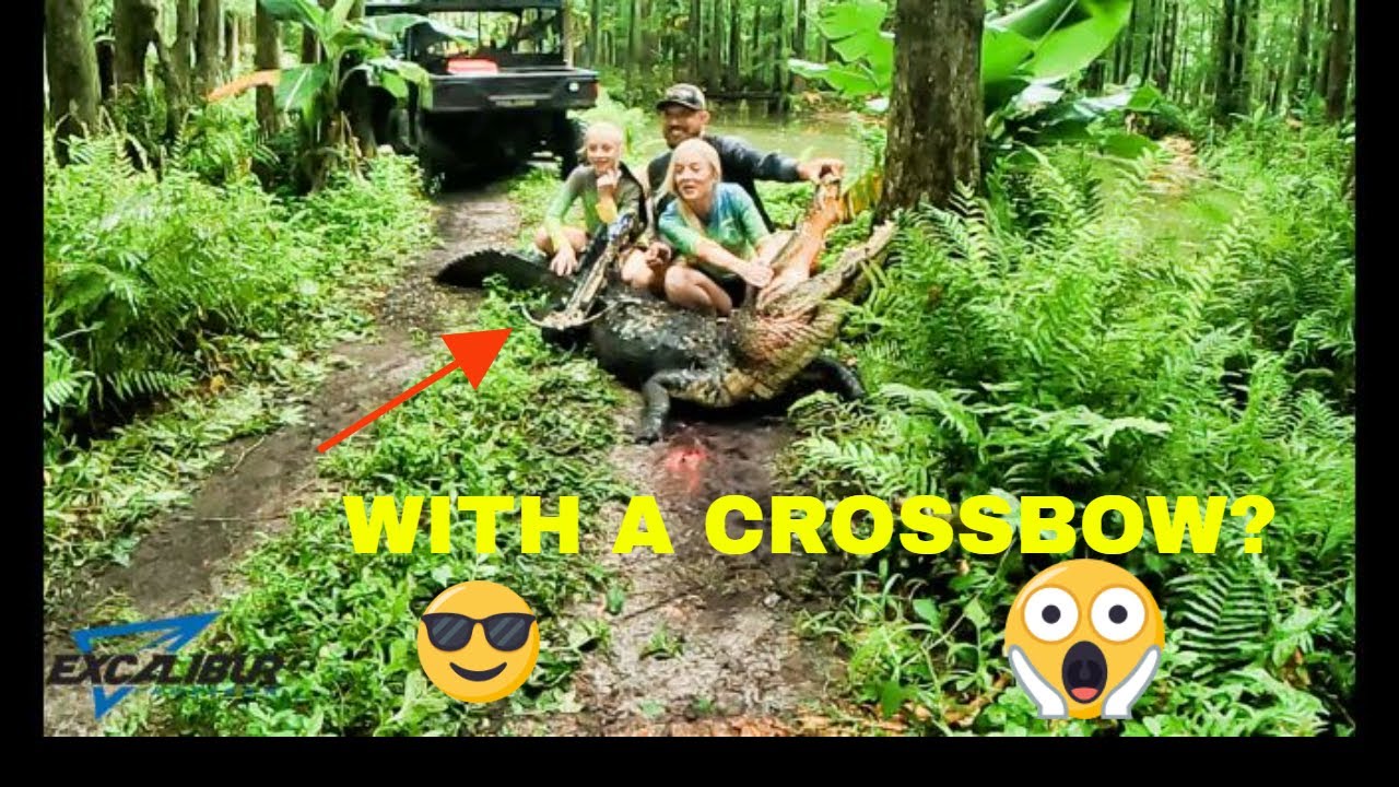 hunting alligator in florida with a crossbow YouTube