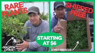 Rare Fruits & Vegetable Starts Only $6+ per plant DELIVERED! by Learn Organic Gardening at GrowingYourGreens 5,008 views 9 days ago 25 minutes