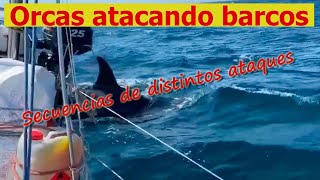 ORCAS. Filmaciones de ataques a  barcos, algunos han sido hundidos.