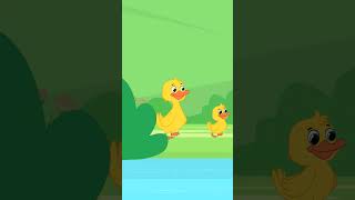 Five Little Ducks | Nursery Rhymes | Kids Song | Little Finger Rhymes