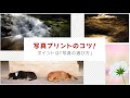 写真プリントのコツ！ポイントは「写真の選び方」　講師：椎﨑義之【キヤノン公式】