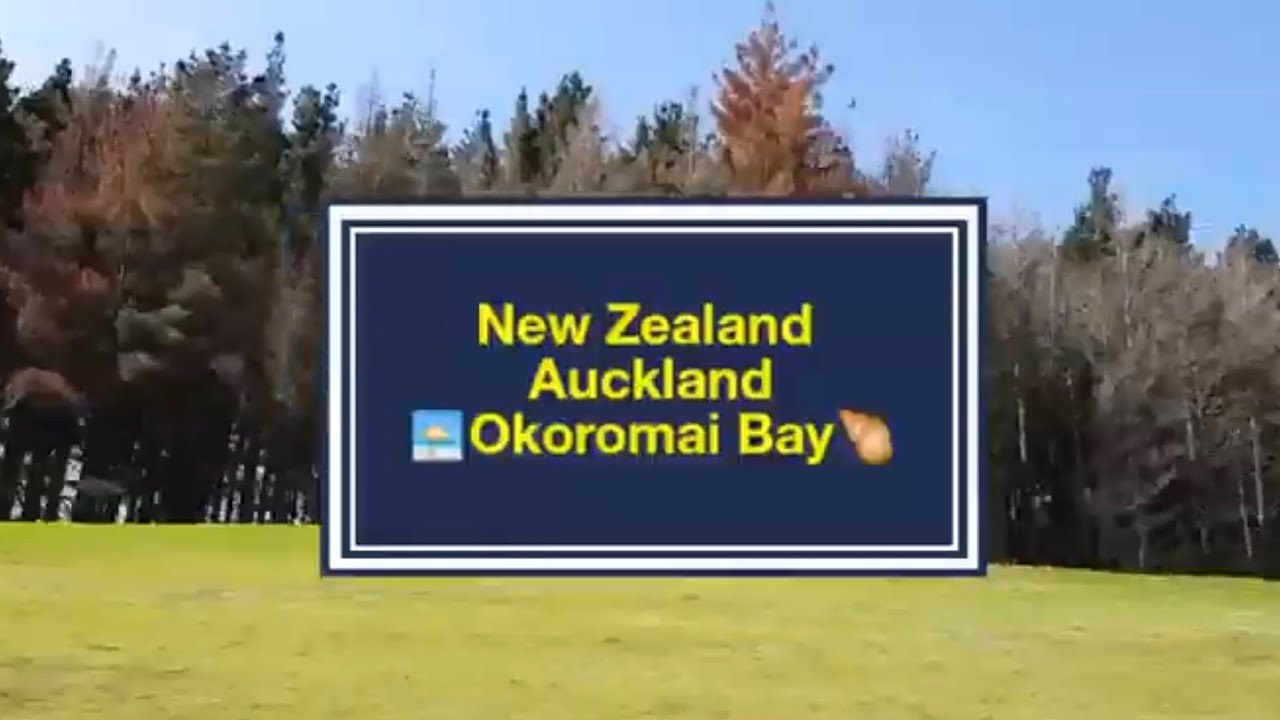 【新西兰/紐西兰 - 奥克兰 New Zealand Auckland】Okoromai Bay 海边挖鸟蛤 🐚🏖 ~ ( Elaine's Travel Vlog 2)