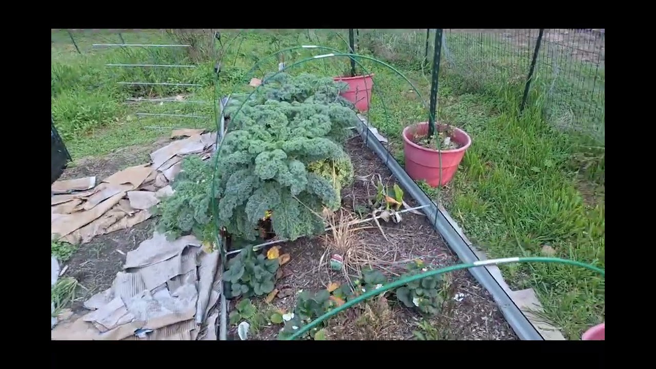 Mar 1, 2026 garden Tour