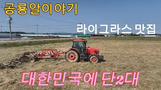 라이그라스 폼 미쳤다