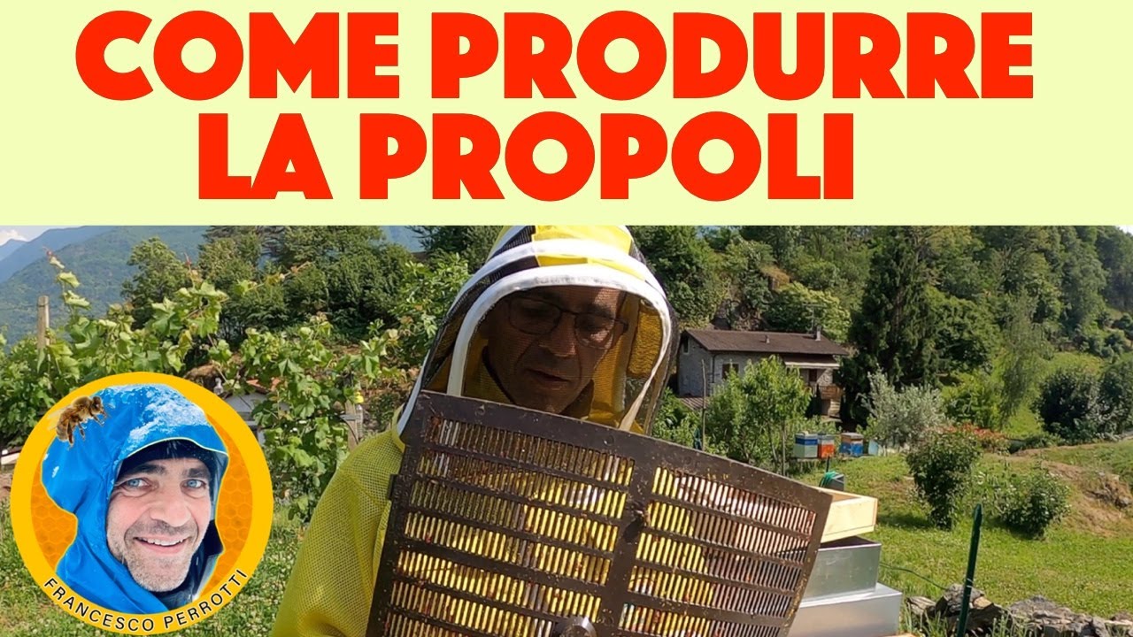 16 Apicoltura  :  Come produrre la propoli ( 2021 )