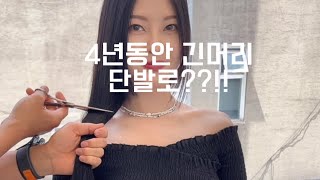 4년동안 긴머리 단발머리는 한순간에 !