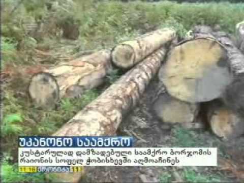 MOE: ბორჯომის რაიონში კუსტარულად დამზადებული სახერხი საამქრო აღმოაჩინეს