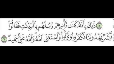 سورة التغابن الآية 6
