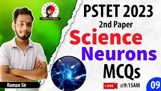 PSTET 2023 | Science MCQs 09 | Neurons MCQs | Skylite Academy