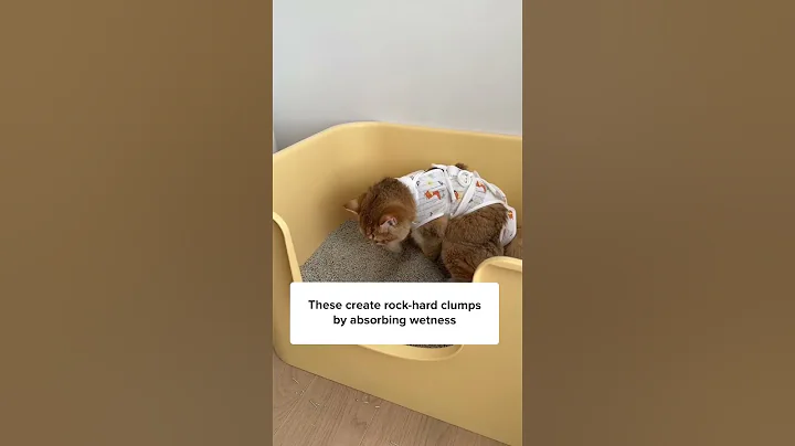 I Can’t Stop Smelling The Litter Box! 🙀 - DayDayNews