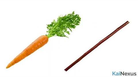 The Power of Alignment and Intrinsic Motivation in Continuous Improvement